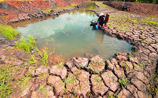 US, Vietnam release joint announcement on climate change - ảnh 1